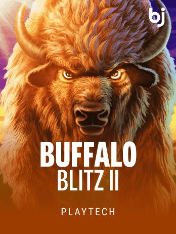 Buffalo Blitz II icon